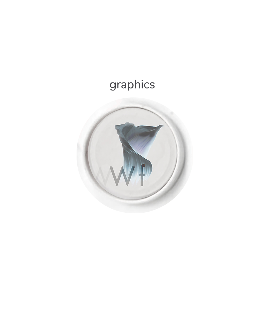 BTN-home-GRAPHICS picc copia